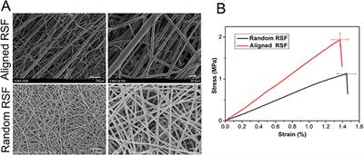 Laminin-Coated Electrospun Regenerated Silk Fibroin Mats Promote Neural Progenitor Cell Proliferation, Differentiation, and <mark class="highlighted">Survival in vitro</mark>